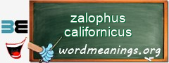 WordMeaning blackboard for zalophus californicus